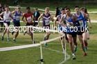 Junior men, 2016 National Cross Country Relays, Berry Hill Park, Mansfield. Photo: David T. Hewitson/Sports for All Pics
